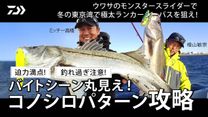 シーバス Daiwa Channel