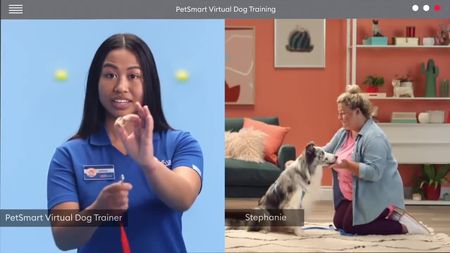 Virtual Dog Training  PetSmart Pet Services