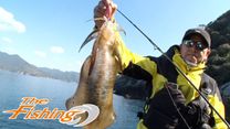 エギング Daiwa Channel エギング Daiwa Channel