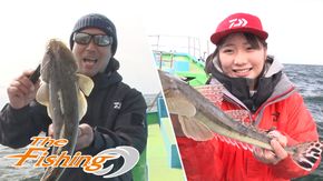 釣り時季 壮絶ファイト ヒラマサから高級魚を捕獲せよ 玄界灘落とし込み釣り 船 Daiwa Channel 釣り時季 壮絶ファイト ヒラマサから高級魚を捕獲せよ 玄界灘落とし込み釣り 船 Daiwa Channel