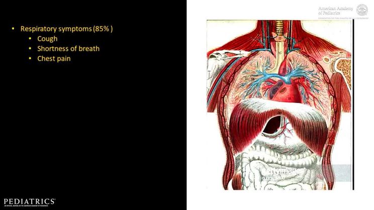 environmental effects of cigarettes Health Effects of Smoking on Your Body