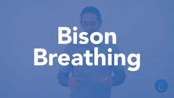 thumbnail for 01 Bison Breathing