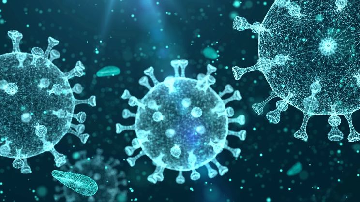 Remembering The Queen Of Soul Aarp Espanol Top Videos And News Stories For The 50 Aarp