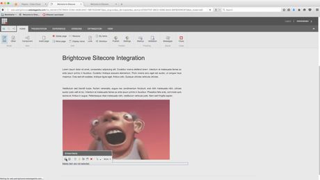 Sitecore Embedding Video on a Website