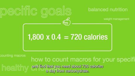 How to Count Macros for a Specific Goal (English Subtitles)