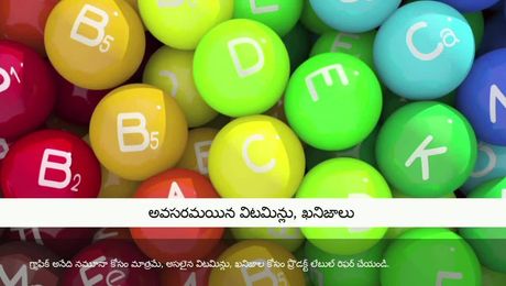 మీకు ఈరోజు షేక్ ఉందా! - తెలుగు