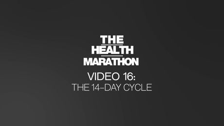 16. 14-dniowy cykl