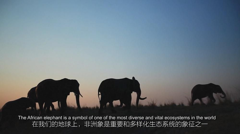 【2018杭州‧雲棲大會】阿里雲以智能技術助肯亞保護野生動物