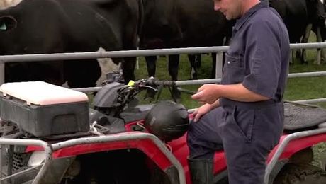Xero for farming  |  Clovalley Farms 15"