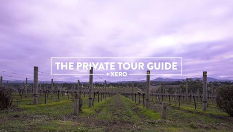 The Private Tour Guide
