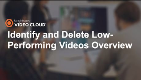 Identify and Delete Low Performing Videos