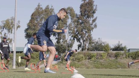 The LA Galaxy's and Sports Nutrition Game Plan