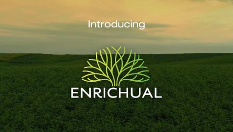 Introducing Enrichual 