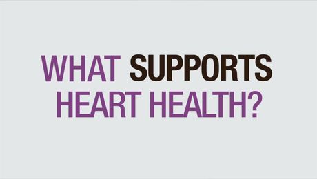 What Supports Heart Health? 