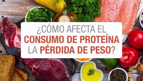 ¿Cómo afecta el consumo de proteína la pérdida de peso?