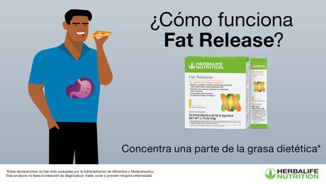 Video de la ciencia de Fat Release