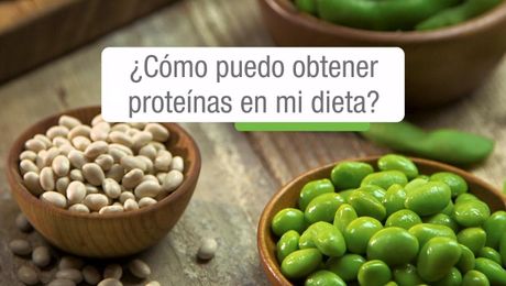 ¿Cómo puedo obtener proteínas en mi dieta?