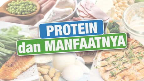 Protein dan Manfaatnya