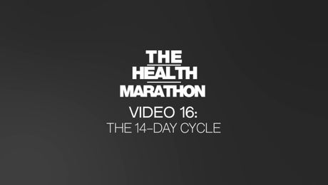 Video 16 - The 14-Day Cycle