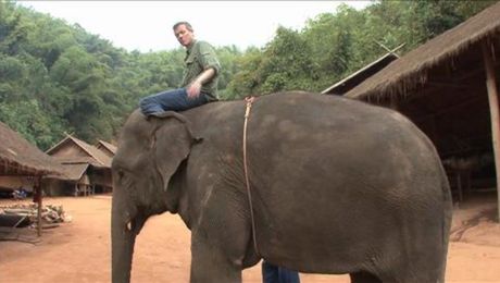 Ride the elephants at the Anantara Golden Triangle Elephant Camp